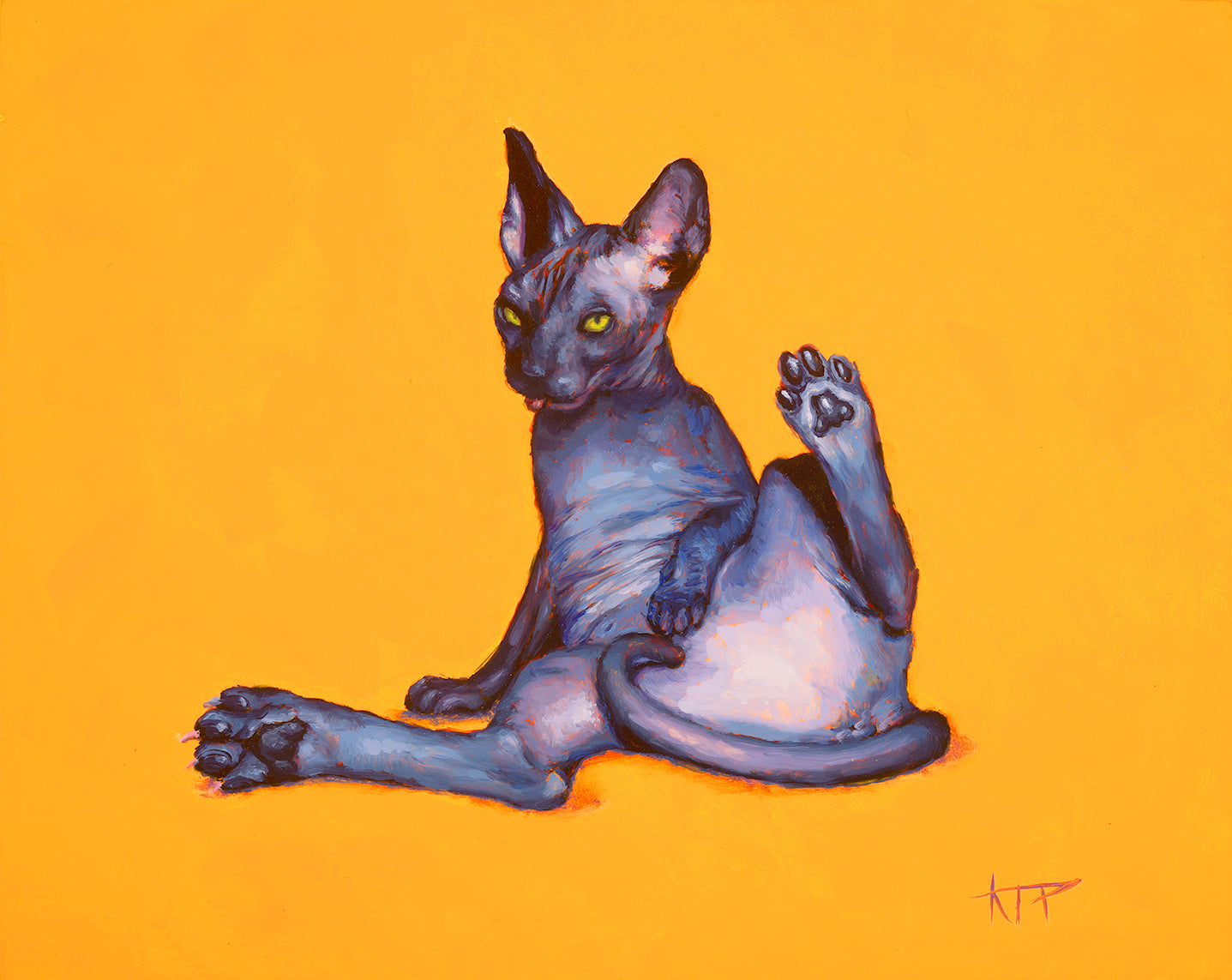 Sphynx Cat Original