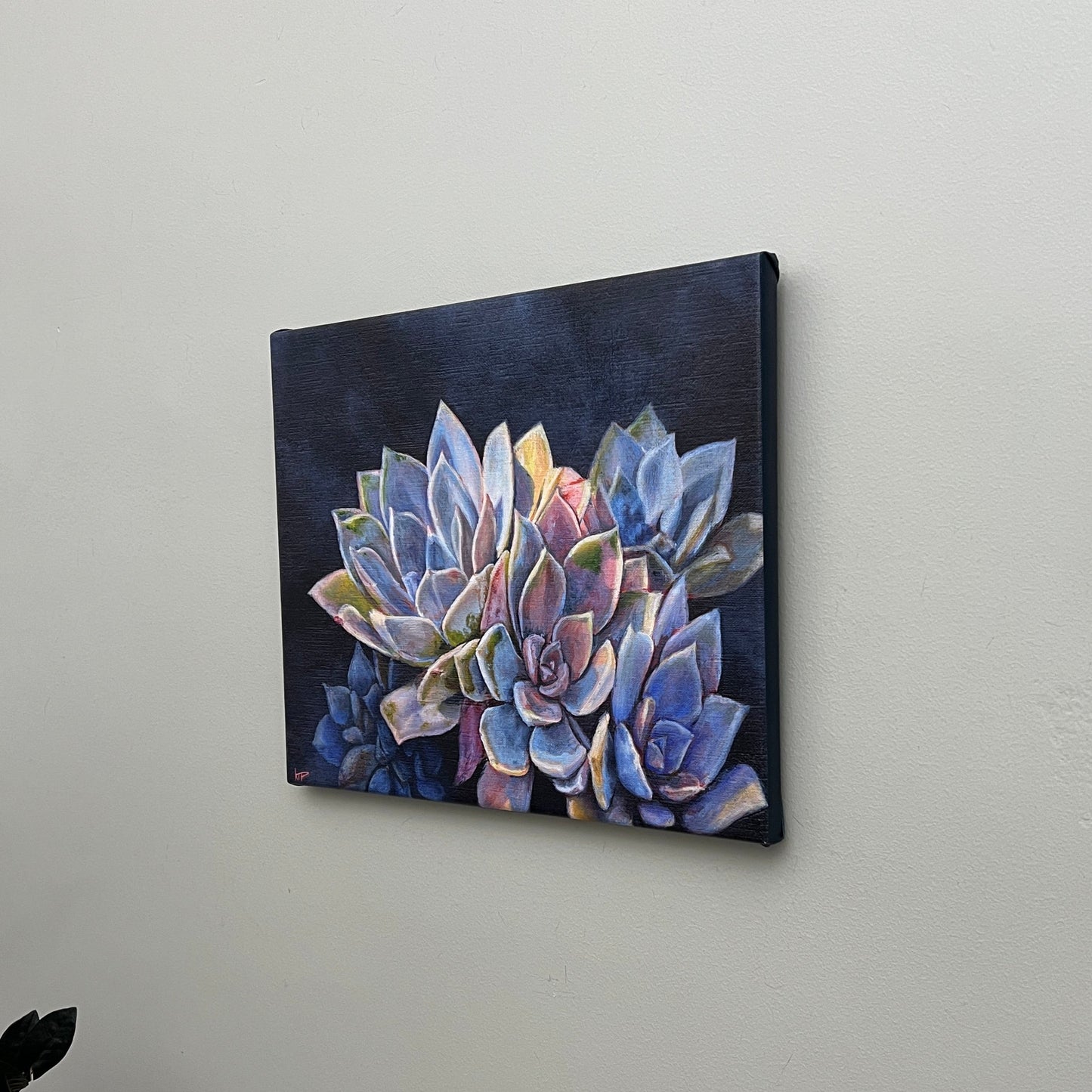 Succulents Canvas Print (12x15")