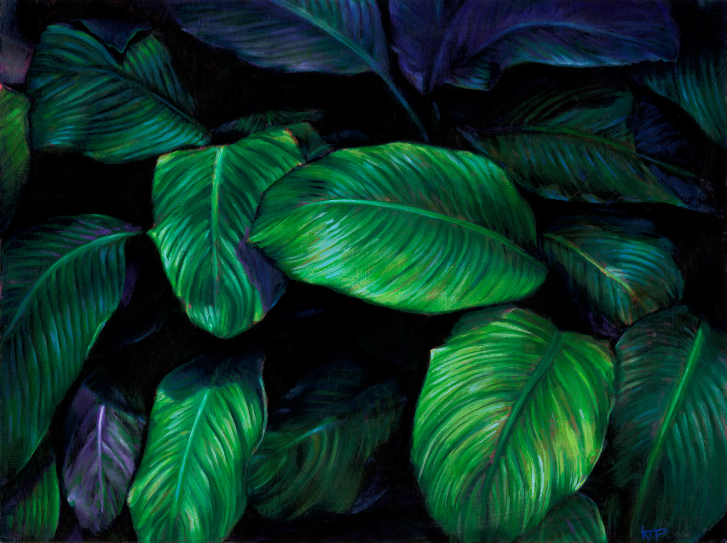Fine Art Greeting Cards