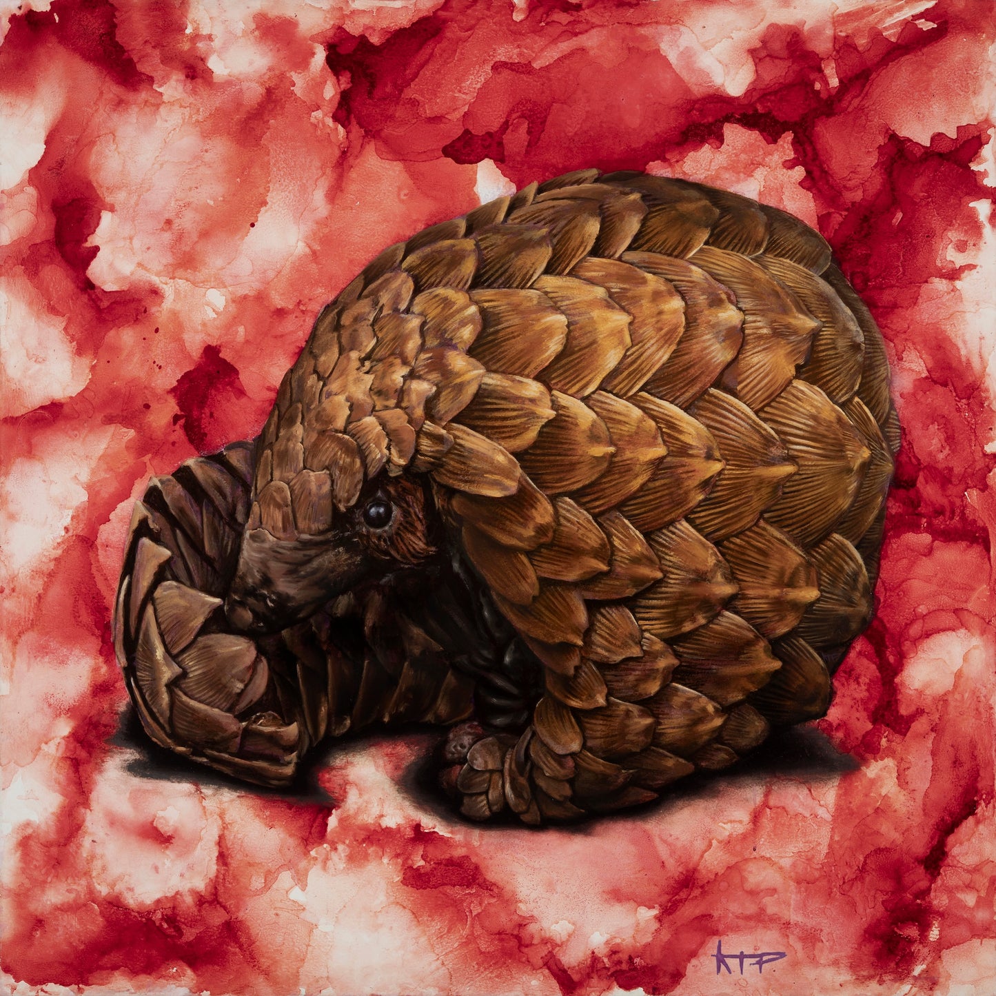 Pangolin Canvas Print (24x24")