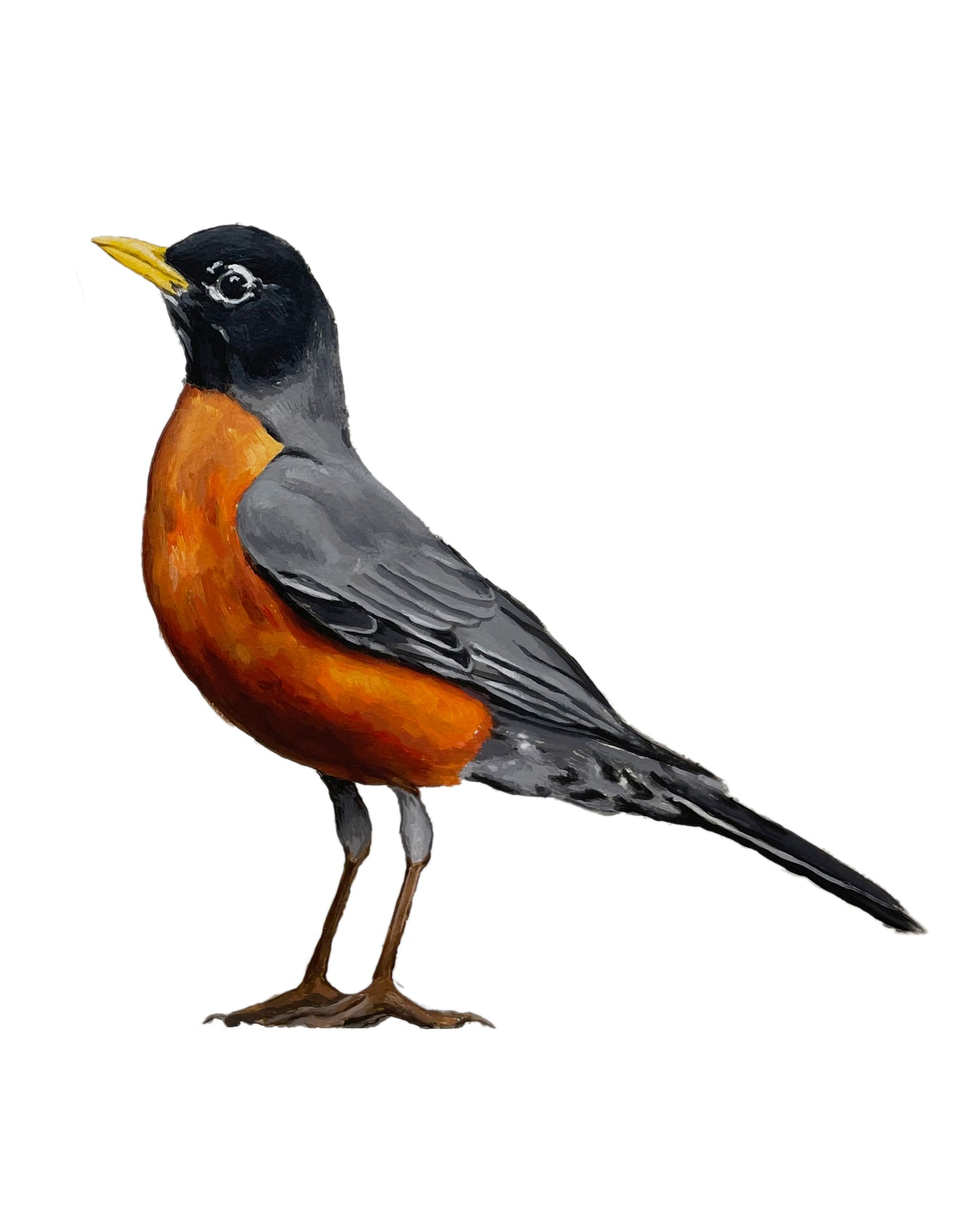 Bird Prints