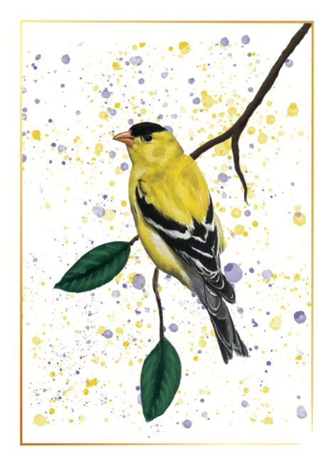 Fine Art Greeting Cards