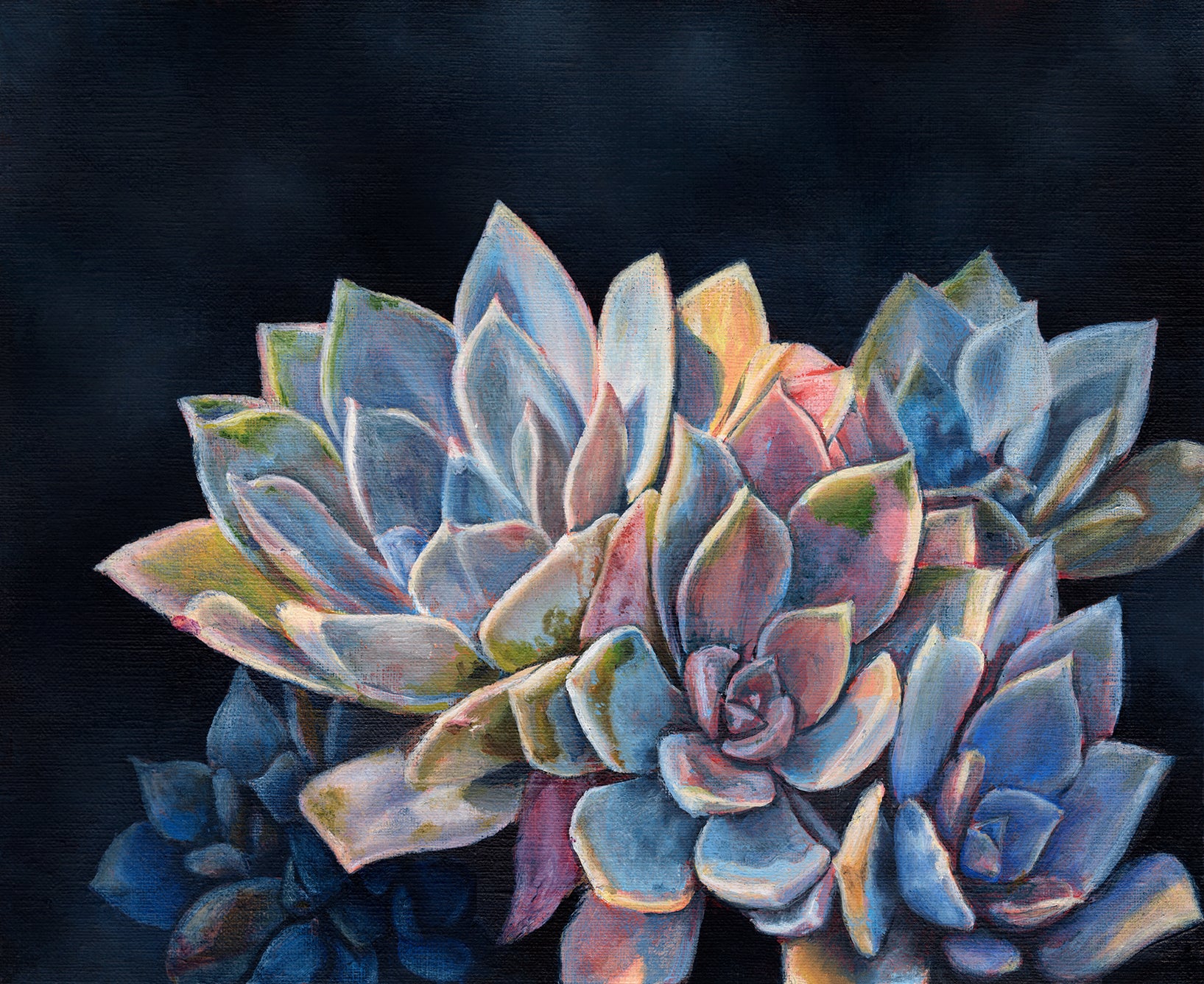 watercolor succulent print Succulents Print – Katie Peña Art