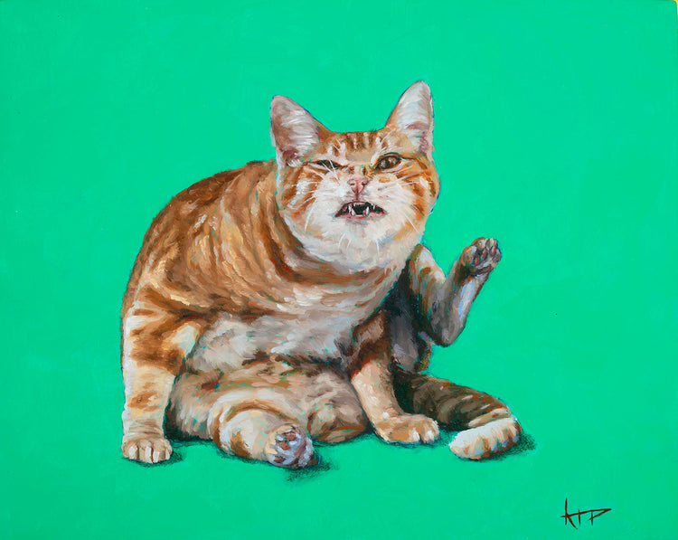 Cats Cleanin'