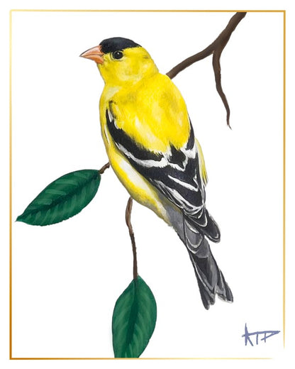 Bird Prints (Gold Border)