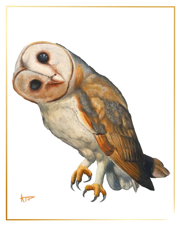 Bird Prints (Gold Border)