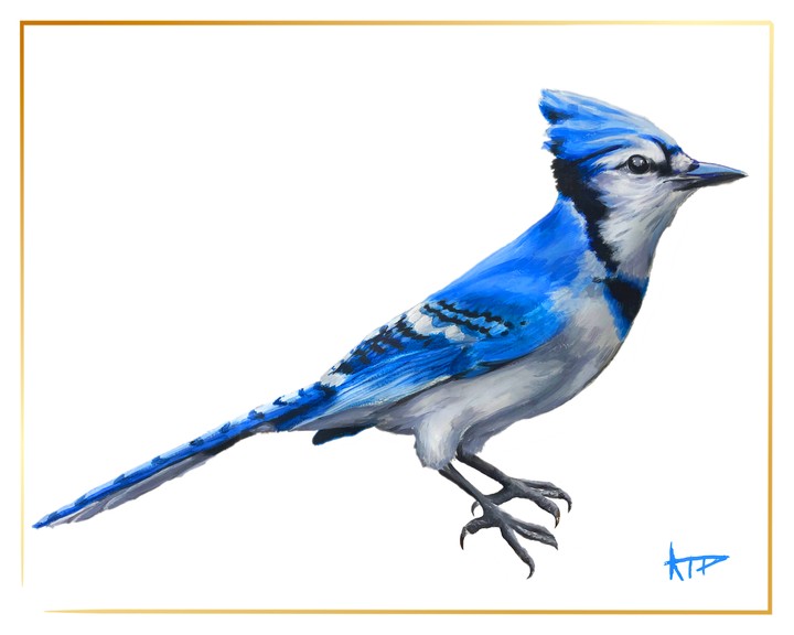 Bird Prints (Gold Border)