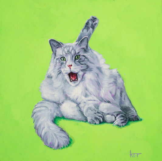Maine Coon Cat Original