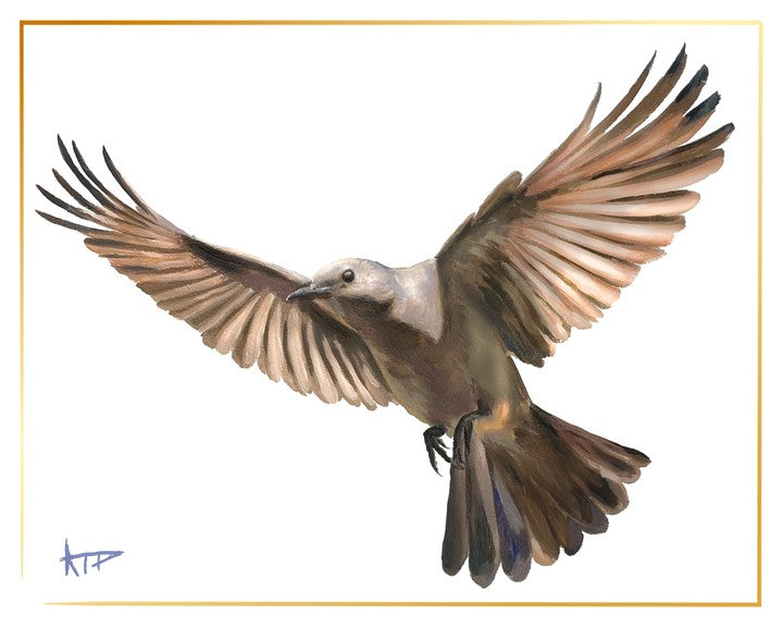 Bird Prints (Gold Border)