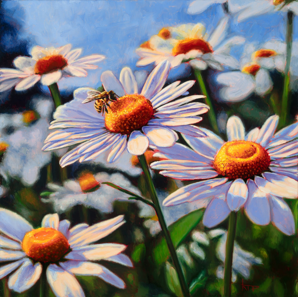 Daisy Rint Daisies Canvas Print (11x11