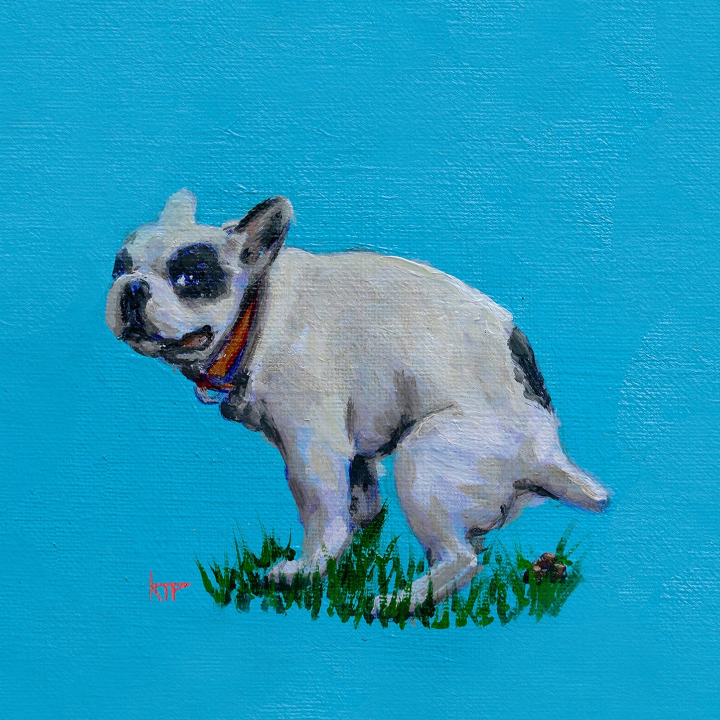 Frenchie 8x8"