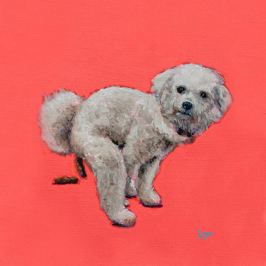 Bichon Frise 8x8"