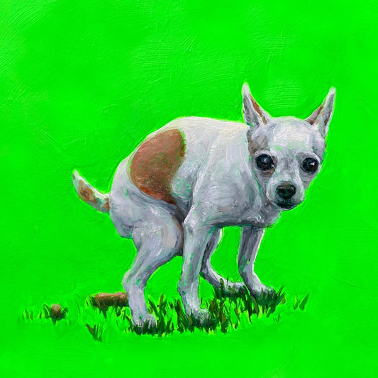 Chihuahua 8x8"