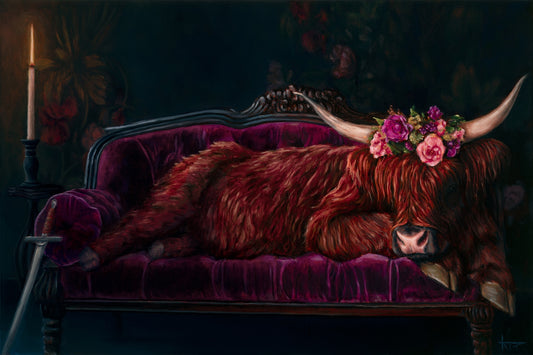 Highland Coo Canvas Print