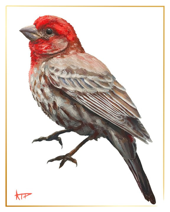 Bird Prints (Gold Border)