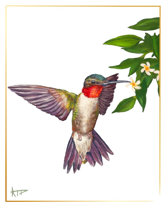 Bird Prints (Gold Border)