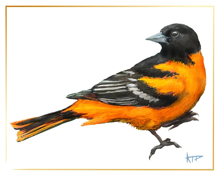 Bird Prints (Gold Border)