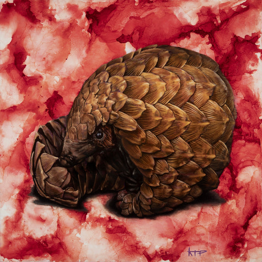 Pangolin Canvas Print (24x24")