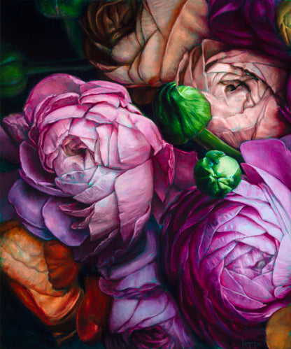 Ranunculus I Oil Painting