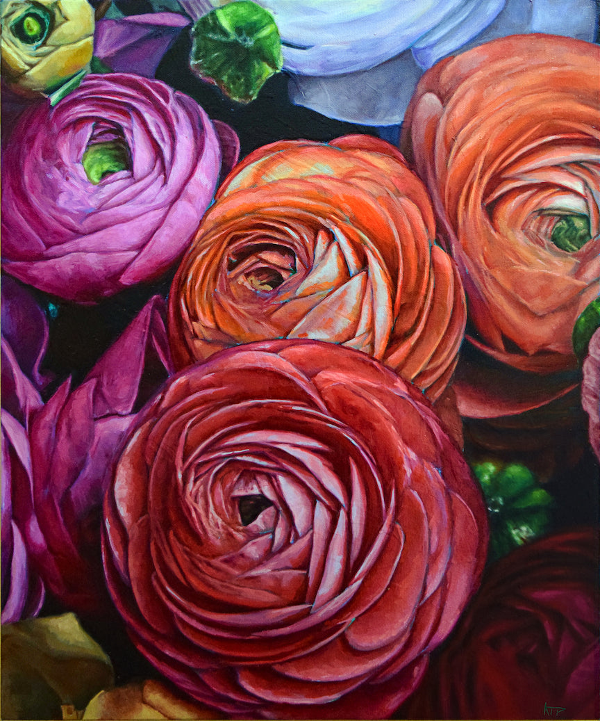 Ranunculus II Oil Painting