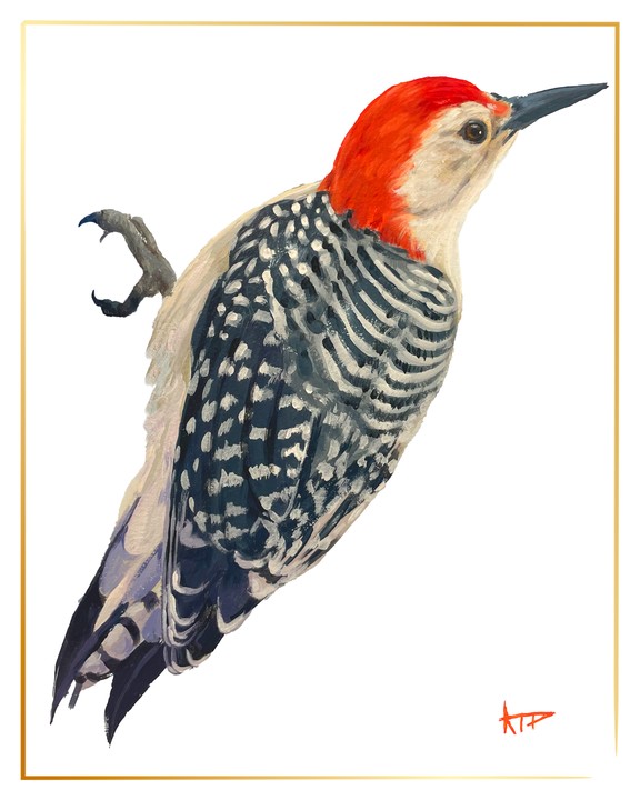 Bird Prints (Gold Border)