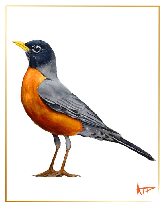 Bird Prints (Gold Border)