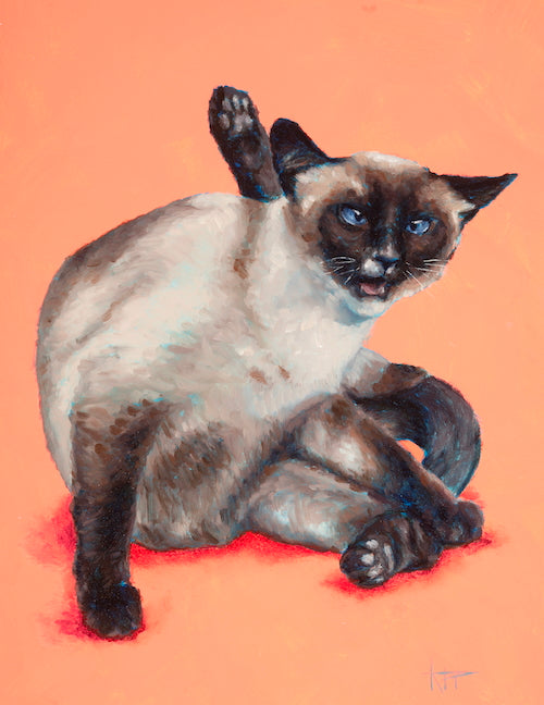 Siamese Cat Original