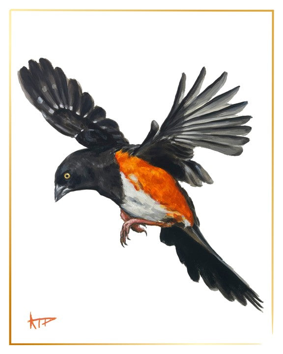 Bird Prints (Gold Border)