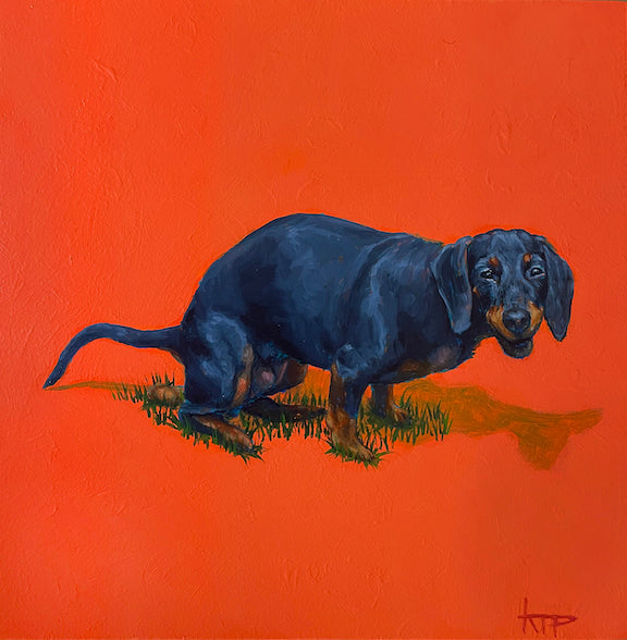 Daschshund Original